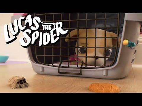 Avocado Gets a Time Out | Cartoons for Kids | Lucas The Spider