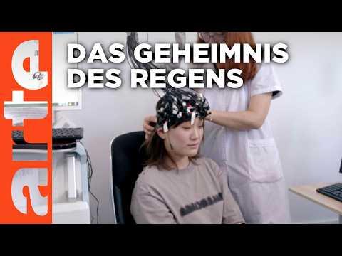 Ohne Regen kein Leben | Doku HD | ARTE