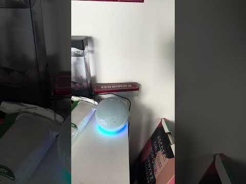 I Asked My Alexa To Say This And… #shorts