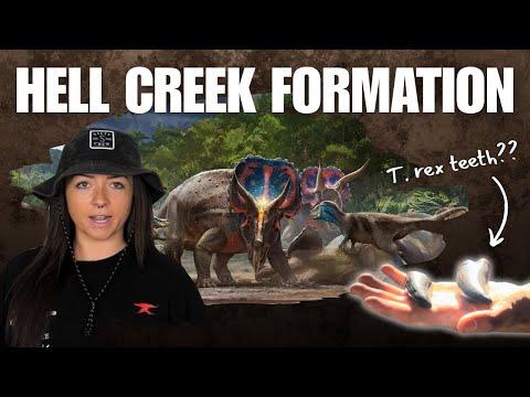 COOLEST FOSSIL SITE (ft. Hell Creek Hooligans) FOSSIL HUNTING IELD TRIP