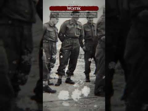 Wojtek the Polish Bear Mascot #shorts #fyp #documentary #history #poland #wojtek #polish #history