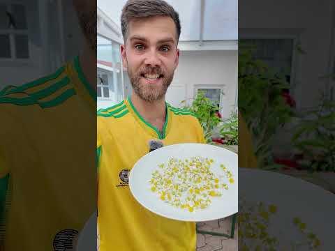 Kräuter trocknen im Sommer | Kamillenblüten Tee selber machen