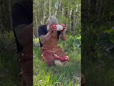 Eating RAW Bison Bone Marrow #survival #foodie #stoneage #food #nature #carnivore #asmr