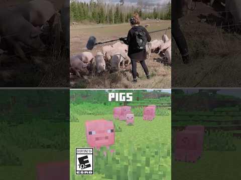 LOOK AT THESE MINECRAFT SOUNDS
