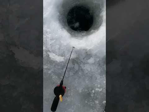 Eisangeln bei -26° am Polarkreis