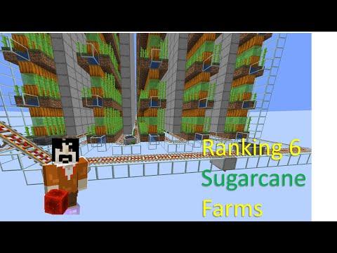 The best sugarcane farms! 7 farms ranked, with bonus bamboo setups. Java Minecraft 1.19-1.21
