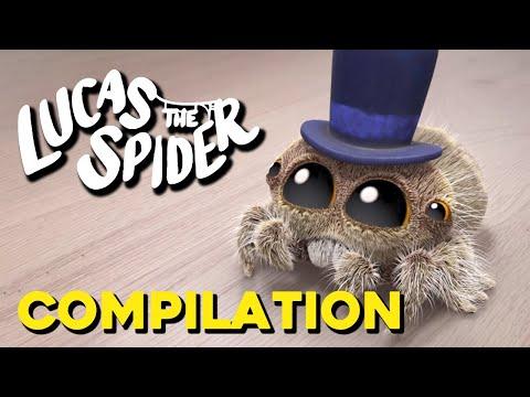 Lucas LOVES Hats! A Compilation of Many Hats | Lucas The Spider