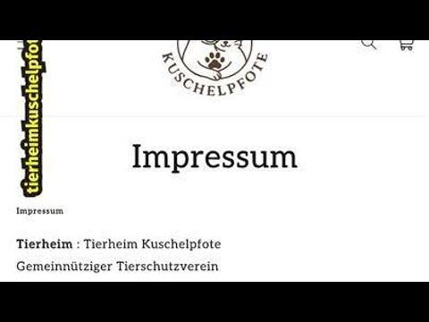 Tierheim macht dicht?! 😿❌ (außer wir kaufen)
