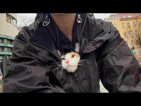 UNUSUAL MEMES COMPILATION V366