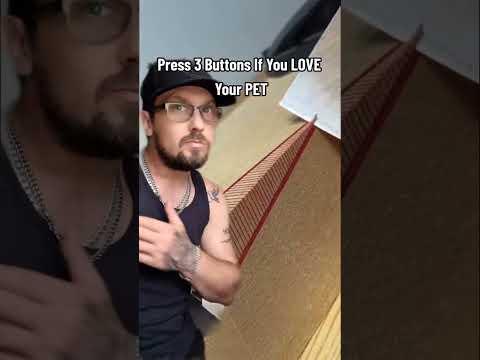 loving my pet #pleasesubtome (Credit to @Evilash)