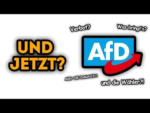 Was passiert jetzt mit der AfD?
