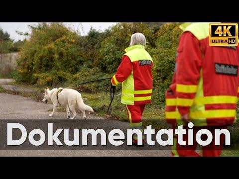 Unterwegs mit der Hundestaffel: Wie findet man vermisste Menschen? (Dokumentation)