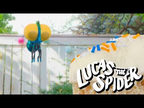 Findley Gets a Surprise Birthday Cake | Cartoon for Kids | Lucas the Spider