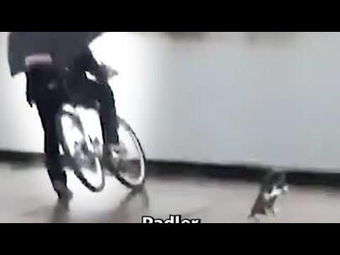 Skateboard-Fail Exposed!🛹🤫