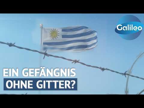 Das FREISTE Gefängnis der Welt! Vertrauen statt STRAFE und Gitter in Uruguay! | Galileo