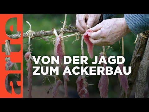 Das Steinzeit-Menü: Als Homo sapiens zum Bauern wurde (2/2) | Doku HD Reupload | ARTE