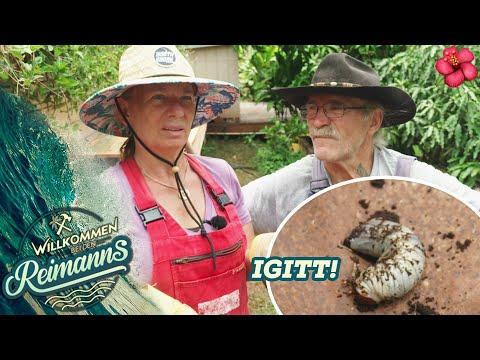 Monstermaden im GARTEN! 😱 Ein galaktischer Wurm kommt selten allein! | Willkommen bei den Reimanns