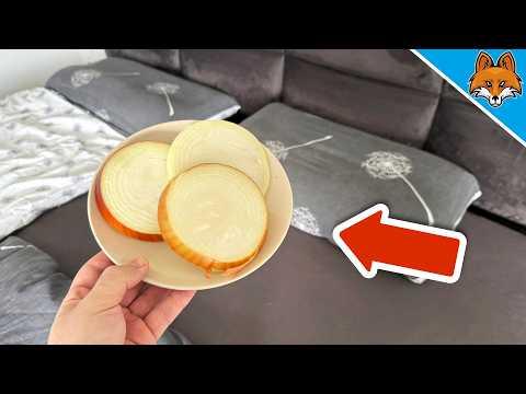 Fast NIEMAND weiß, weshalb du eine Zwiebel neben dein Kopfkissen legen solltest🤯💥