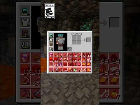 YOUR INVENTORY IS FULL