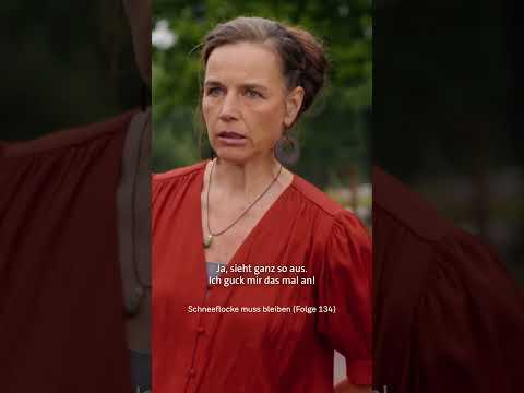 Mini-Shetty kann Kunststücke | Tiere bis unters Dach #shorts