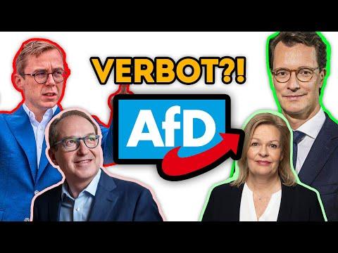 Die Reaktionen auf die RECHTSEXTREME AFD! (es fühlt sich so gut an)
