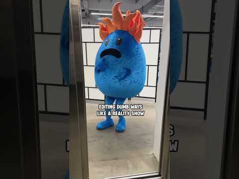 The Real Housewives of Dumbville