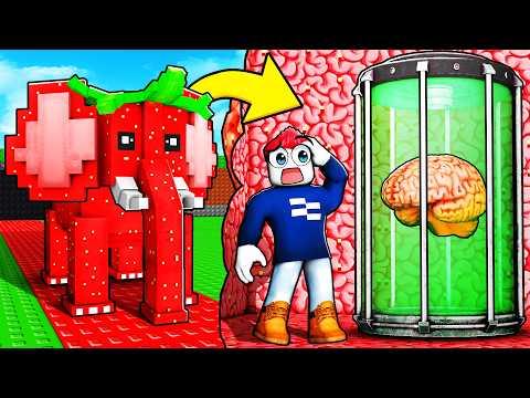 BETRETE BRAINROT KÖPFE für 4000 ROBUX