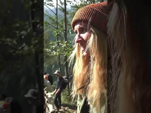 Los gehts! #taff #news #shorts #mounteverest