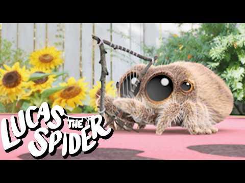 Lucas the Spider Makes a Song for Maizie + More Cartoons for Kids