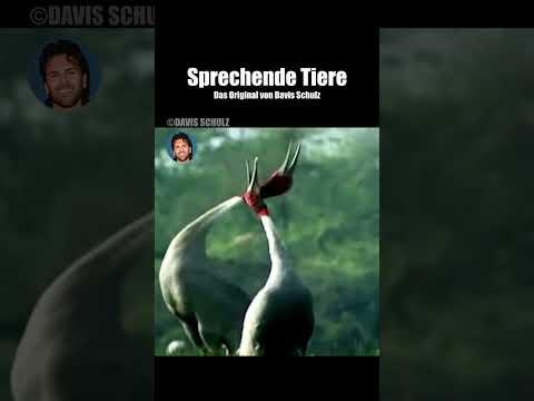 voice: davis schulz u.a. producer: bbc #davisschulz #sprechendetiere #lustigetiere #witzigetiere