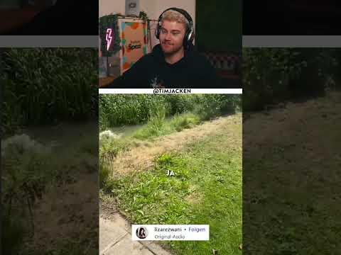 Wer würde es Schaffen 🤲  - Streamclip von @timjacken