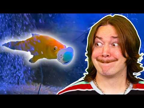 Uncontrollably LOSING IT to Daily Dose of Internet