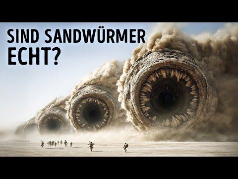 Die mysteriösen Senklöcher von Mount Baldy erwachen zum Leben