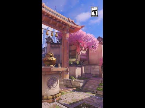 See if you can spot Dorothy 🚁