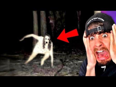300 Gruselige Videos