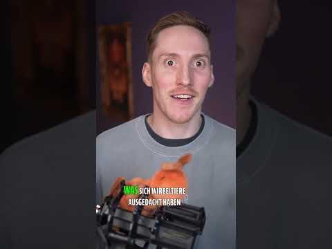 Wir präsentieren: Die ARSCHMEISE!