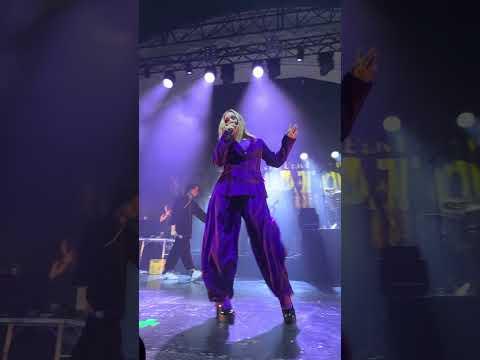 KNORKATOR - ein ganz kleiner Filmtrip mit Vince