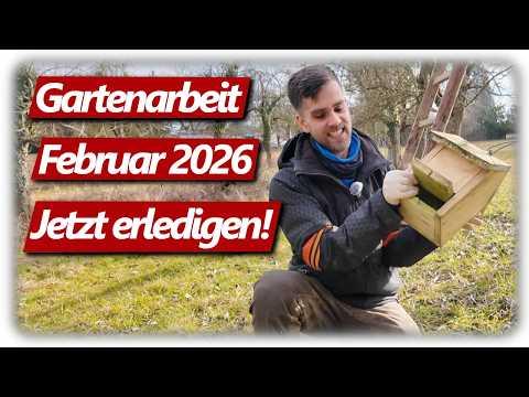 Gartenarbeit Februar | Nistkästen reinigen, Pilzbeet anlegen, Hochbeet stetig auffüllen