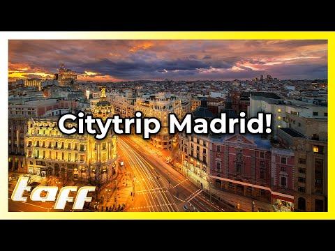 Madrid für Feinschmecker & Kulturfans: Der ultimative Guide! (Teil 2)