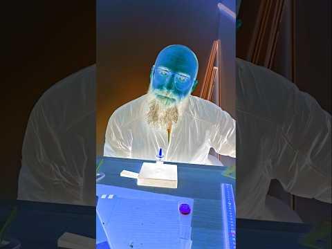 The Official Blue Berry of North Carolina