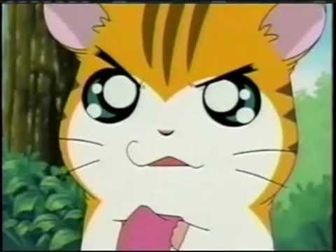 Hamtaro - Stan and Sandy Fight Meme