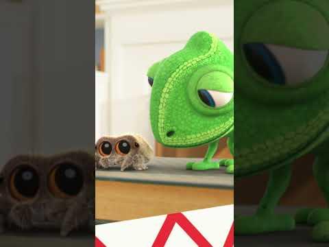 How Findley Finds Ways to Pass The Time #lucasthespider #cartoons #friends