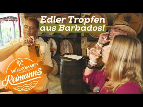 Und 'ne Buddel voll Rum! Das edle Tröpfchen und die Cola-Frage | Willkommen bei den Reimanns