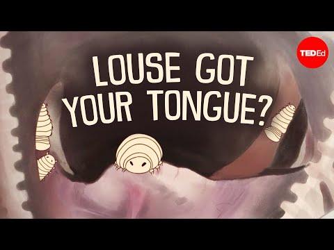 Let us ruin your day with this tongue-eating parasite - Niko Zlotnik