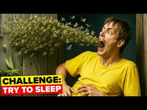 10 Hours of DEADLY SCP Files To Fall Asleep To