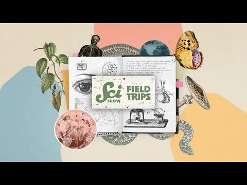 New Series SciShow: Field Trips Drops TOMORROW!
