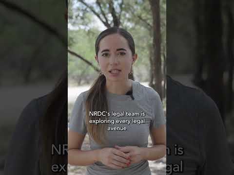 Protect Our Planet for Future Generations🌍 #conservation