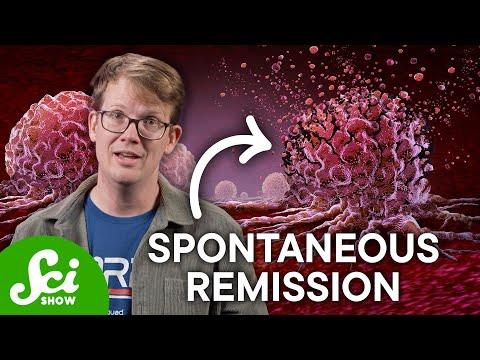 Why Do Some Cancers Cure Themselves?