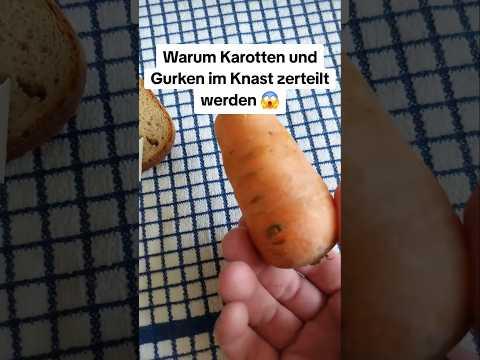 Warum Karotten im Knast zerteilt werden!? 🤔