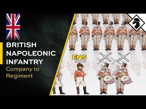 British Infantry Units of the Napoleonic Wars (Depth Section)